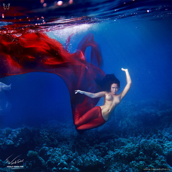 Vitalij Sokol's photo