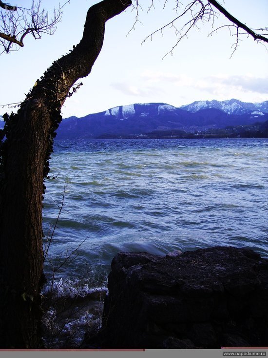 Nature