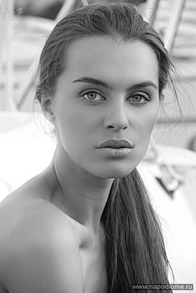 Reza Golestani's photo