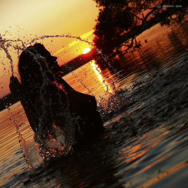 Photo %s