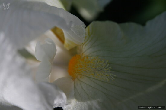 Al'bina Sakirova's photo