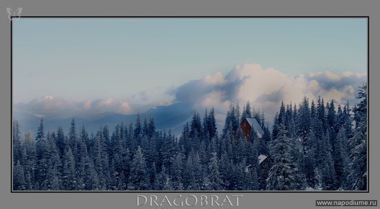 Aleksandr Harcenko's photo