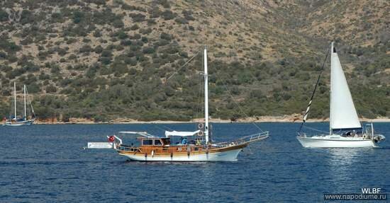 照片ASHOT KHACHATRYAN