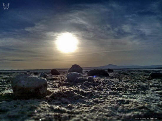Nikita Orlov's photo