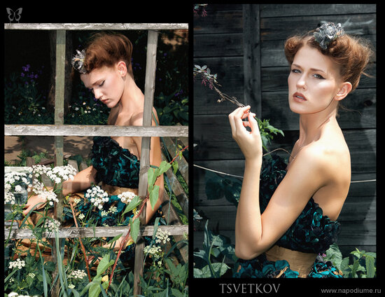 Фото Alex Tsvetkov