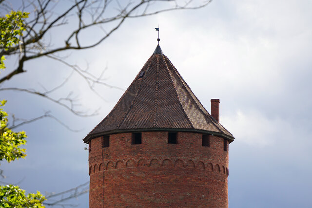 Sasha Aleks V's photo