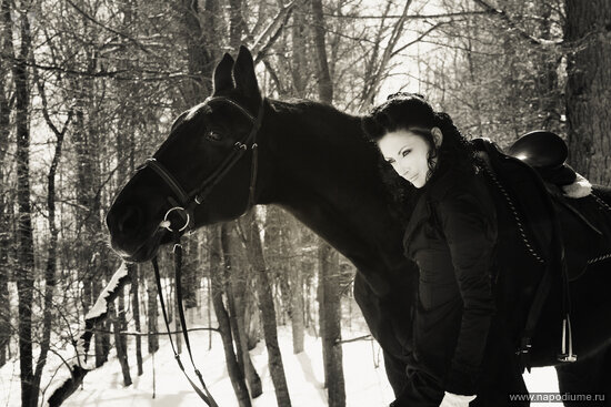 ussia XIX centuries. Horse walk.
