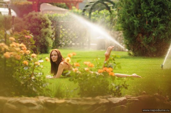 Фото DMITRIY FAYBUSHEVICH