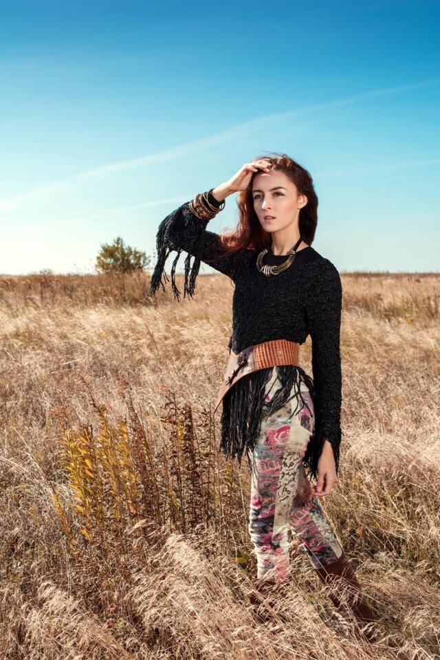 Zebra's photo