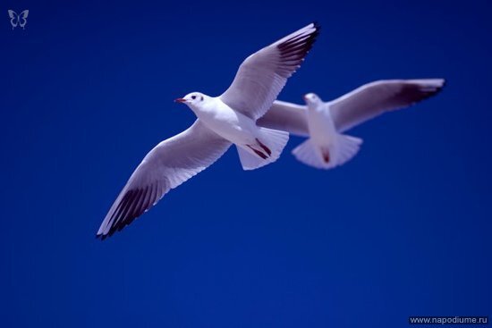 Фото Yulia Bader-Baer