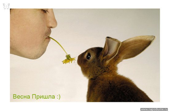 фотограф Валерий Решетняк