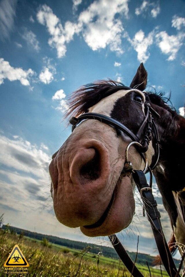 Maxym Antiukhov's photo