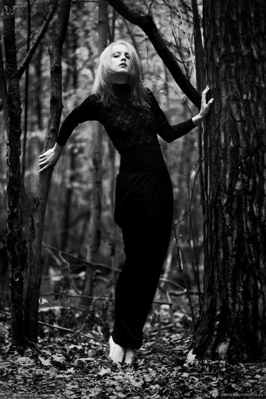 Darina Zimmerman's photo