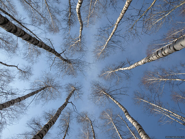 Sergej Spasskij's photo
