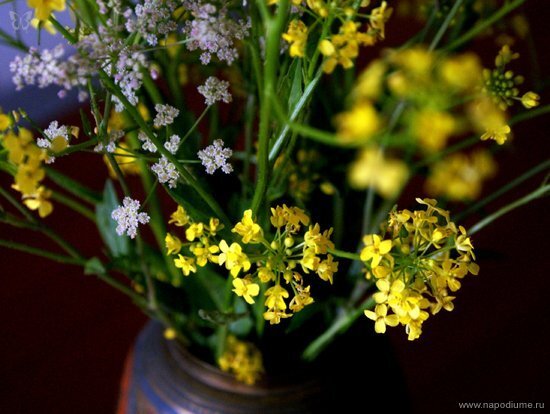 Ulia Koladenkova's photo