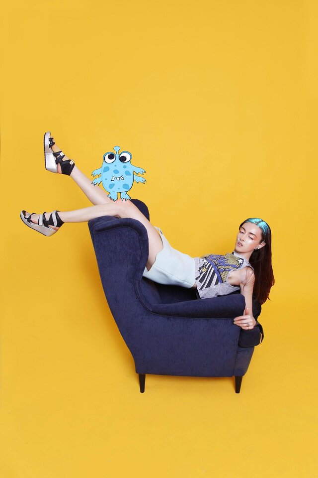 Zebra's photo