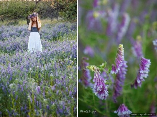 Anastasiya Fedotova's photo
