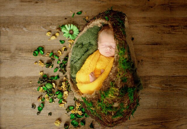 Rodion Erofeev's photo