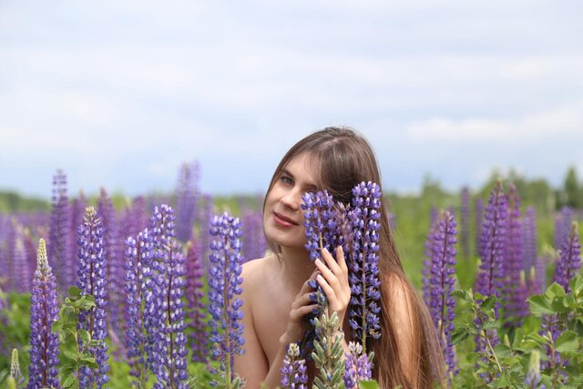 Люпины