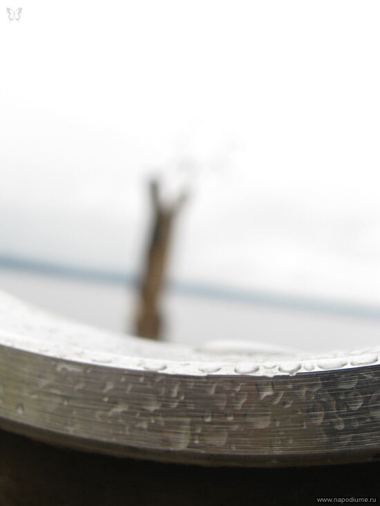 Efim Vasil'ev's photo