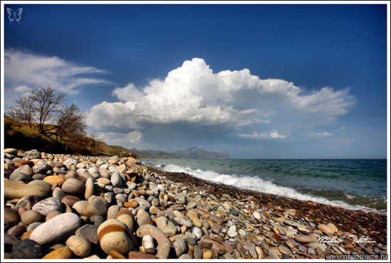 Mihail Tolstihin's photo