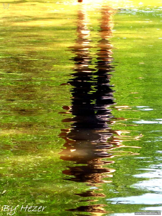 Ekaterina Zolotareva -Hezer's photo