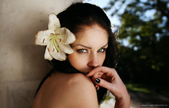 dina plohaa's photo