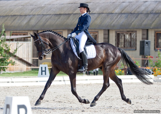 Olga =) Equestrian's photo