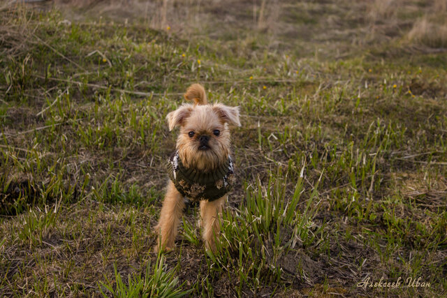 Ivan Alekseev's photo