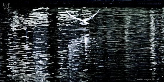 Ura kolas's photo