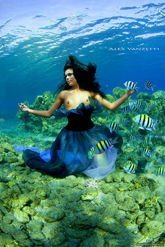 Alex Vanzetti's photo