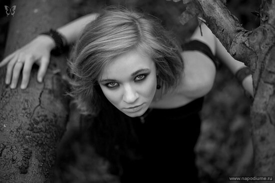 Фото mary cherry