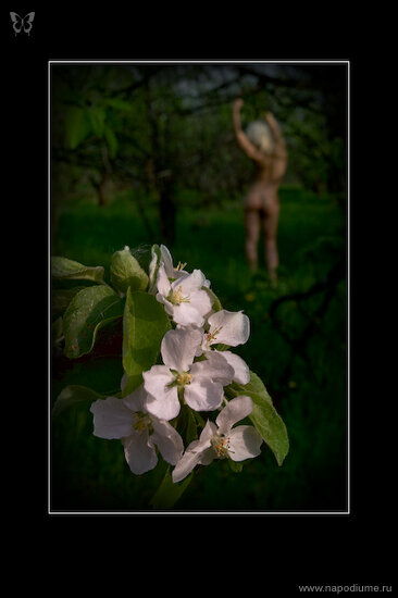 Stas Ignatov's photo