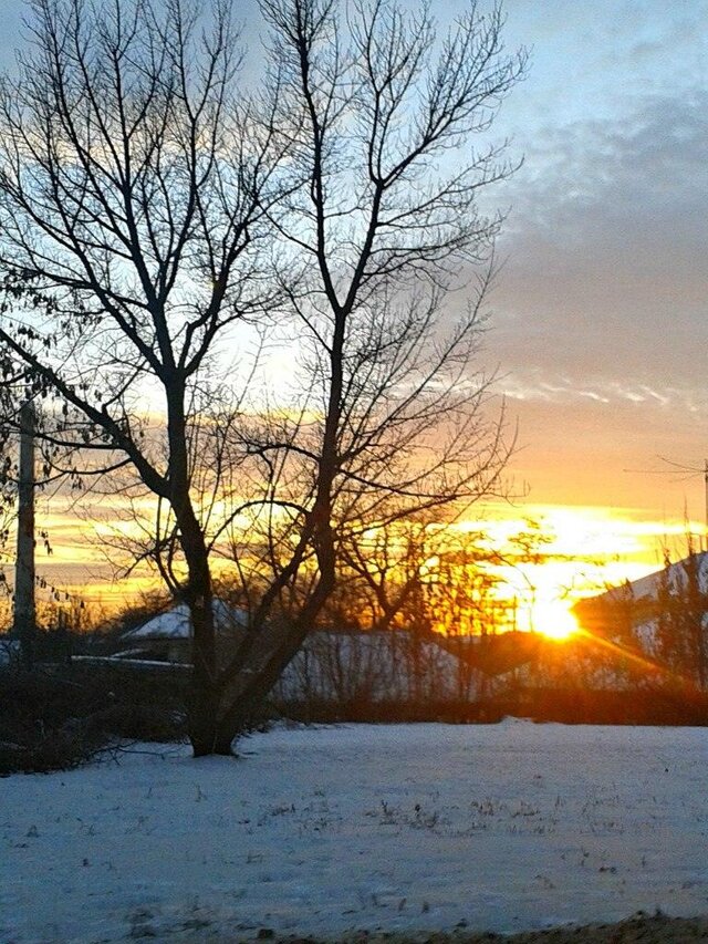 Anastasia Agafonova's photo