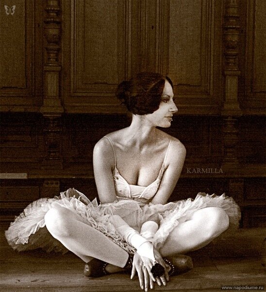 White-Black Swan