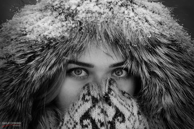 Фото Николай Евдокимов