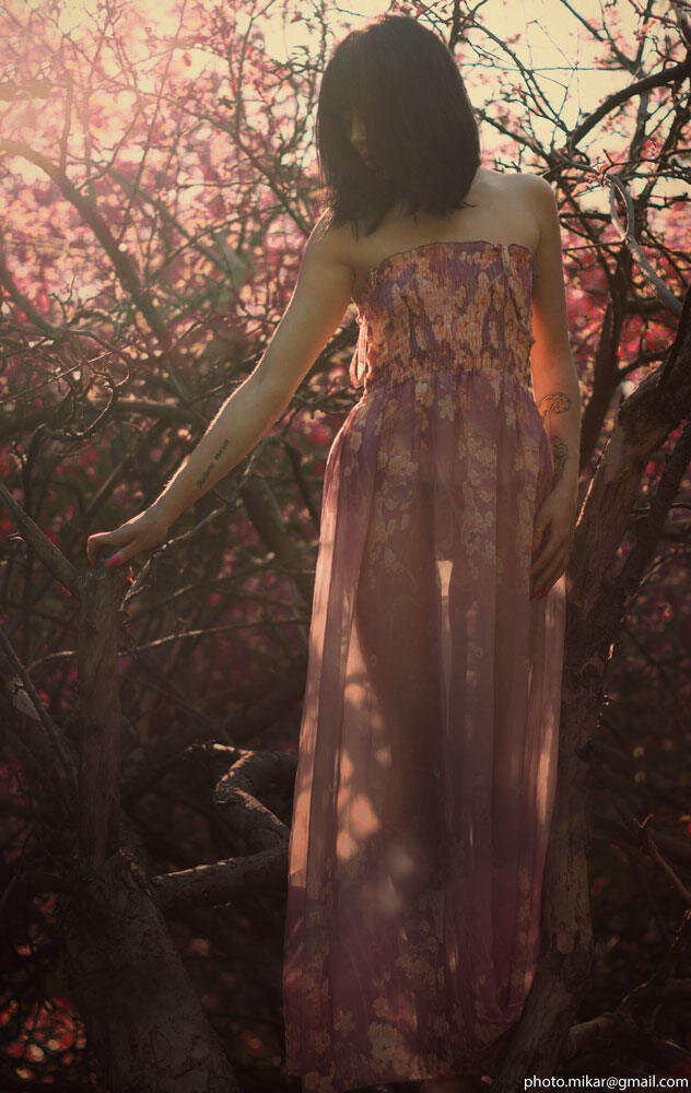 Mikar's photo