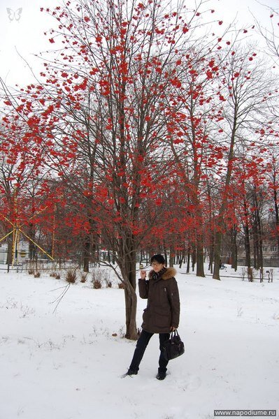 Kir Naumov's photo