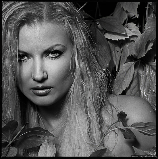 Anastasiya Iva's photo