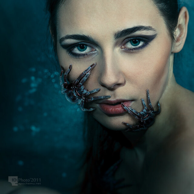 Igor Kalab's photo
