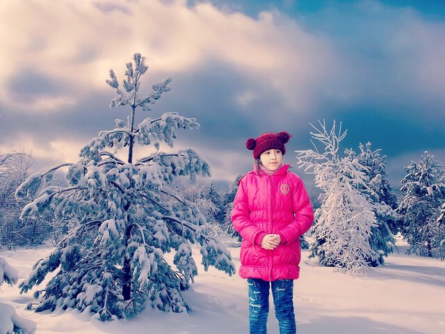 Vladimir Osipov's photo