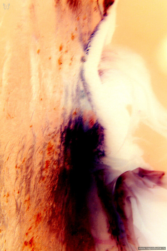 Фото Marietta Dasan