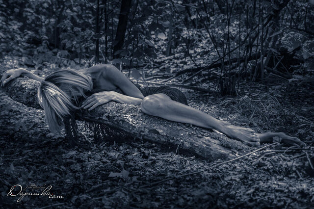 Foto Darishka