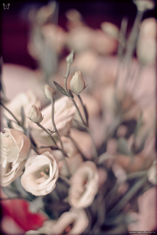 Ana Ciganova's photo