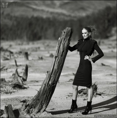 Fashion