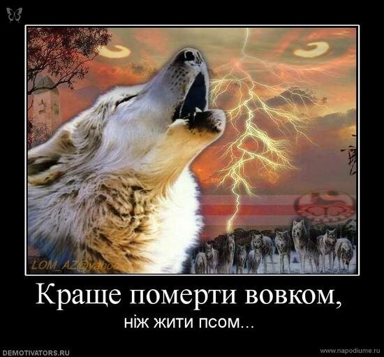 Natasa Trepalova's photo
