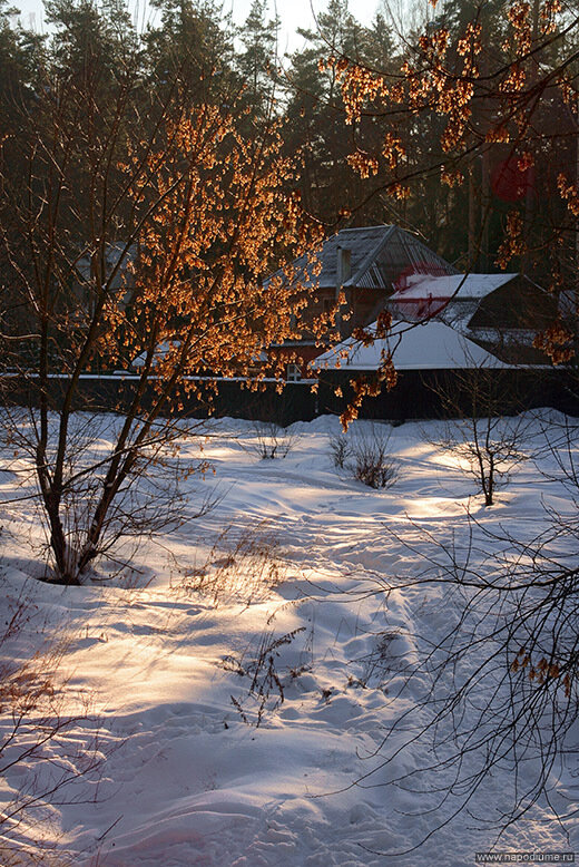 Andrej Vojcehov's photo