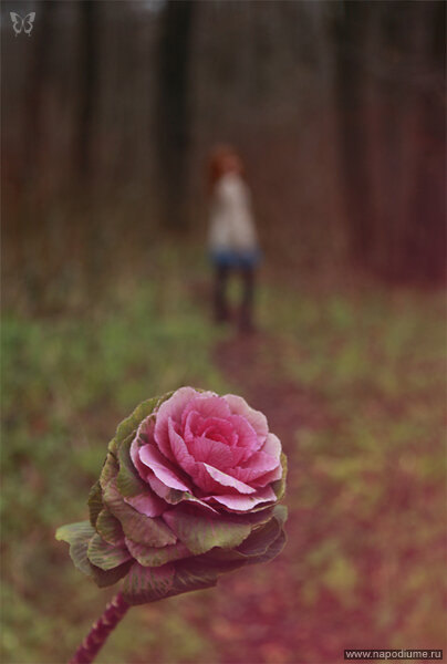 Polina Zigalkina's photo