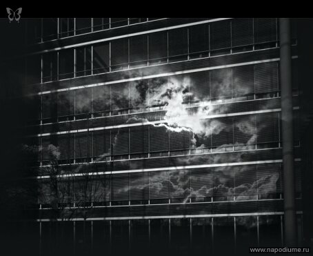Фото Andre Gorbin