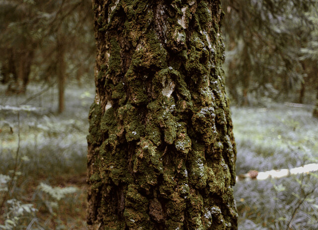 Anastasiya Ruslabedgia's photo